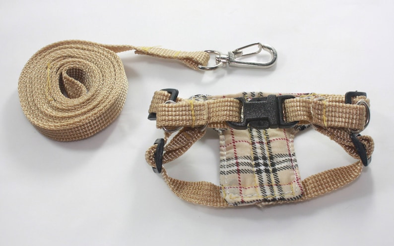 Cream Leashes lead set and Adjustable soft harness for guinea piglet rat hamster ferret prairie dog and small pets