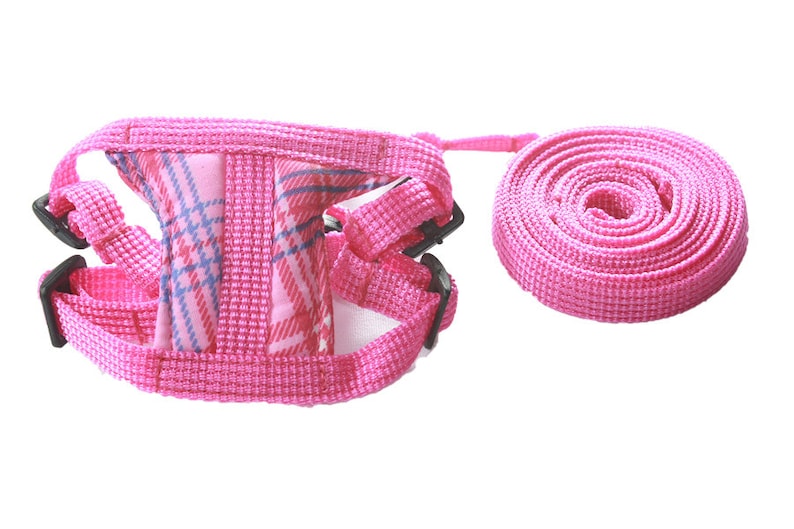 Leashes Lead Set and Adjustable Soft Harness for Guinea Piglet Etsy UK