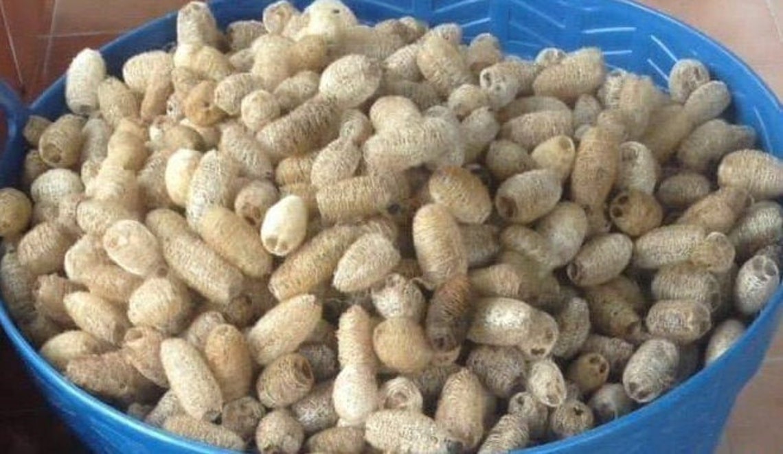 Whole Mini Luffs Loofah Natural Body Scrubber Sponge Bath Kitchen Can Makes Chew Toys for a