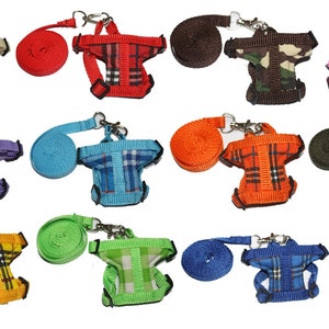 Könnte beinhalten: Zehn verschiedene Farbkombinationen von Hundegeschirren und Leinen. Die Geschirre sind kariert und die Leinen einfarbig. Die Geschirre haben einen Clip auf der Rückseite und einen Ring auf der Vorderseite zum Anbringen der Leine.