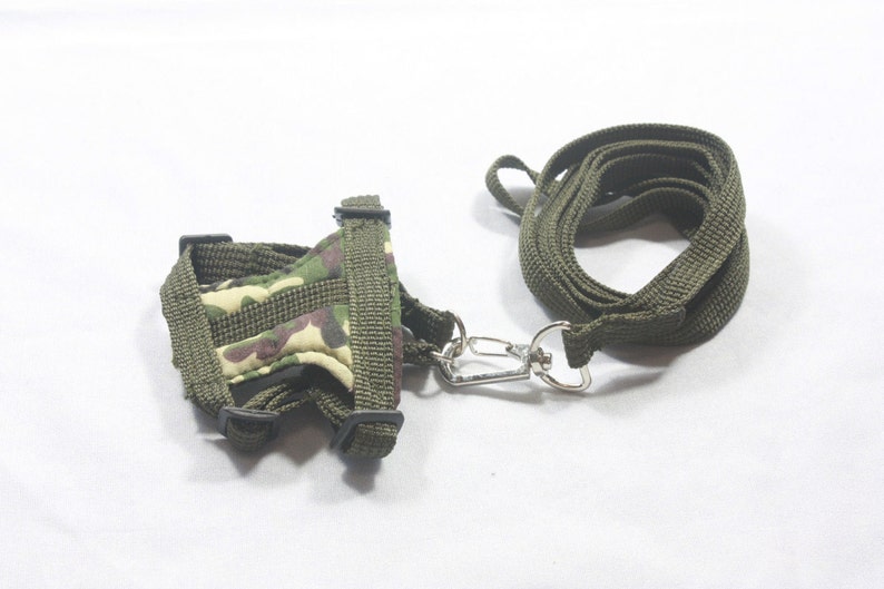 Dark Green Leashes Lead Set and Adjustable Soft Harness for Etsy