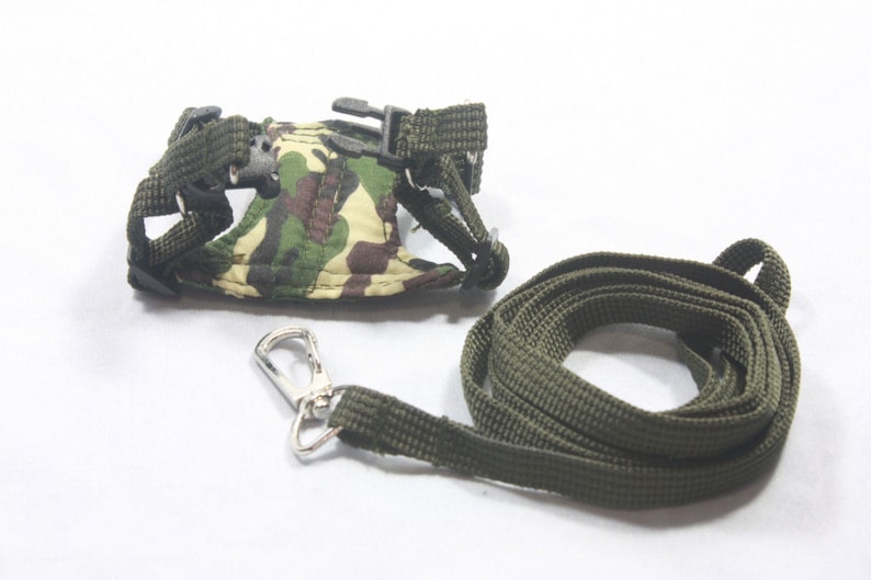 Dark Green Leashes Lead Set and Adjustable Soft Harness for Etsy