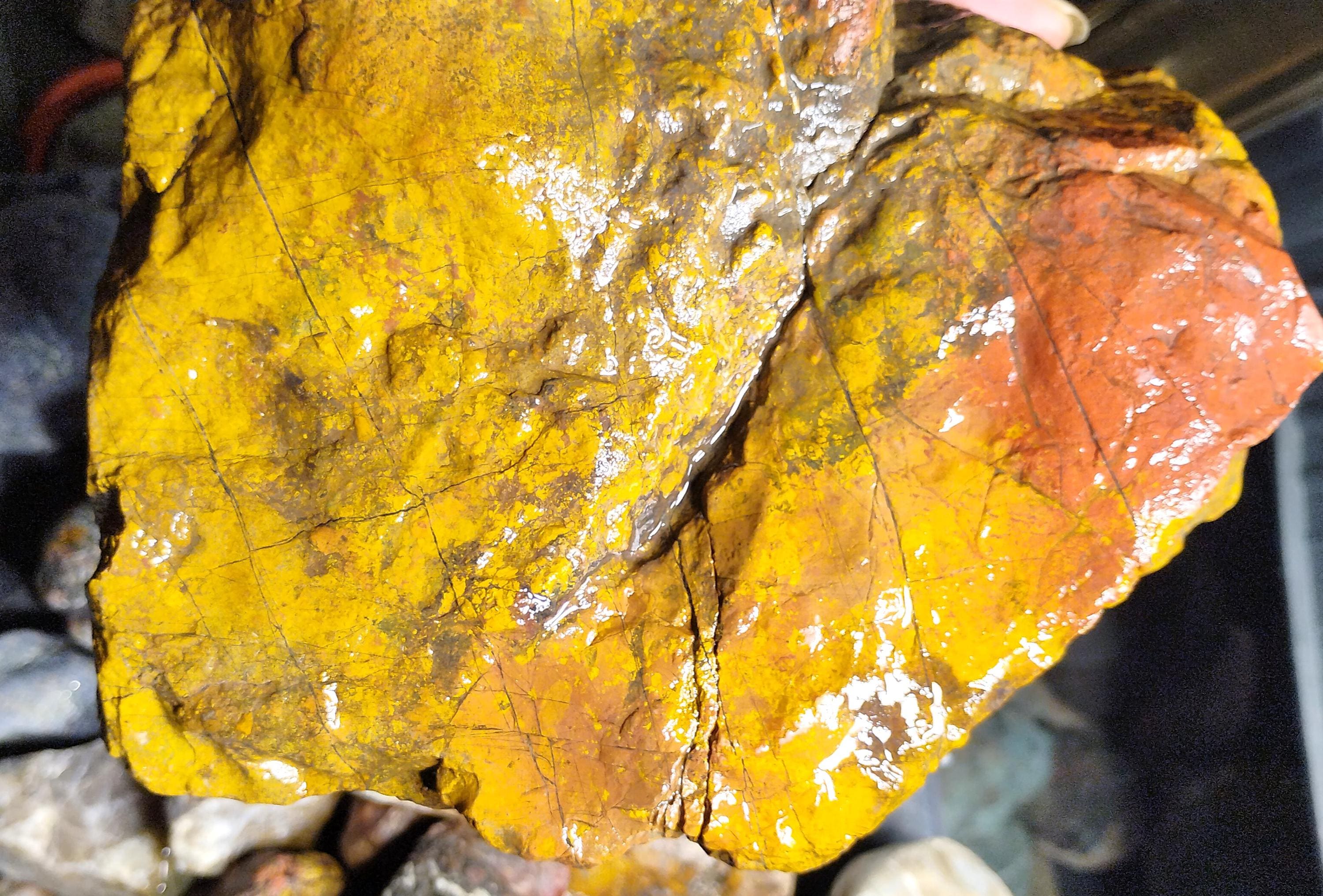 Yellow and Red Jasper - 8+lbs - Northern California, Mendocino