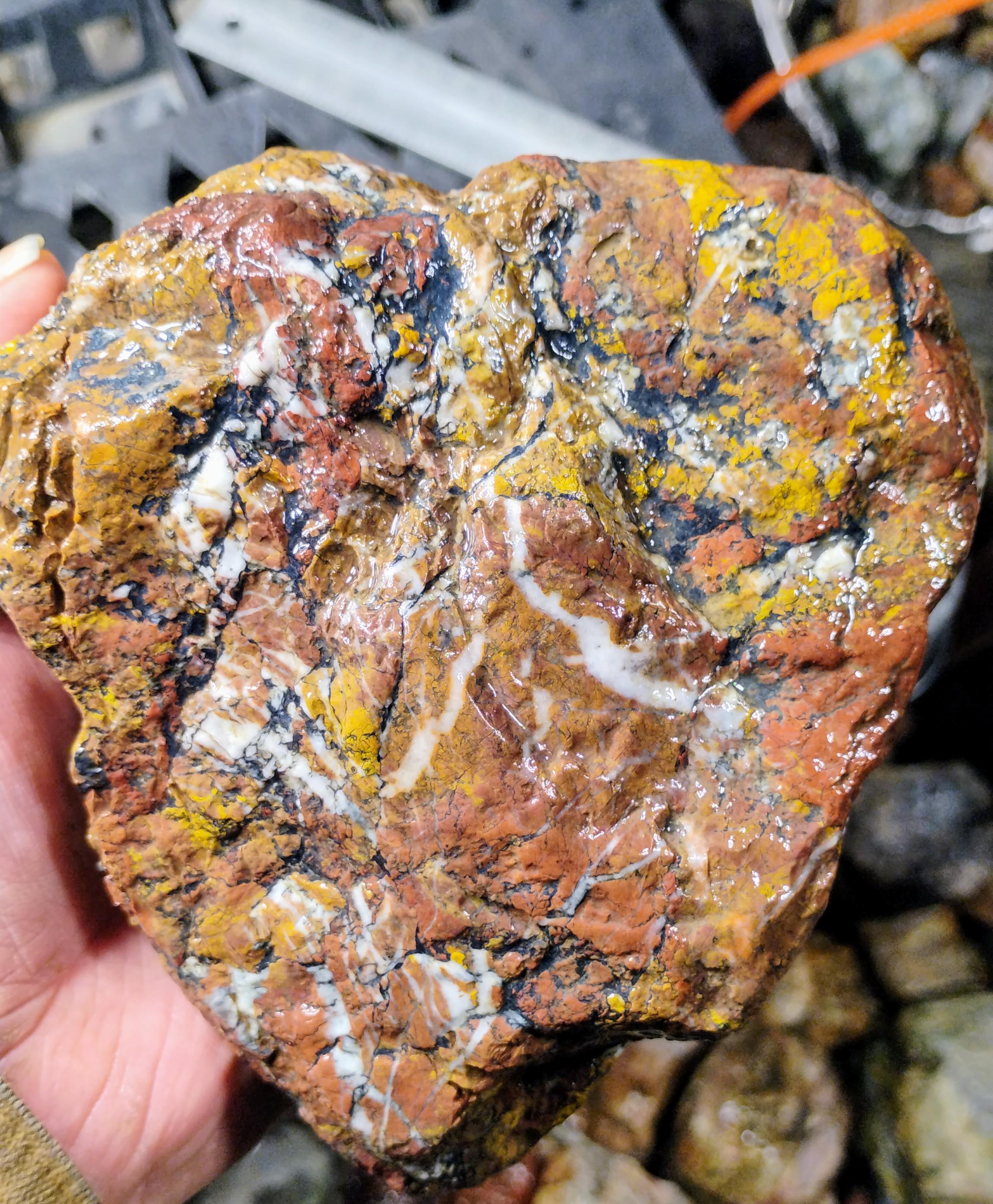 Brecciated Jasper - Total Eye Candy! Multicolor w/Quartz Veins - 3+ pounds