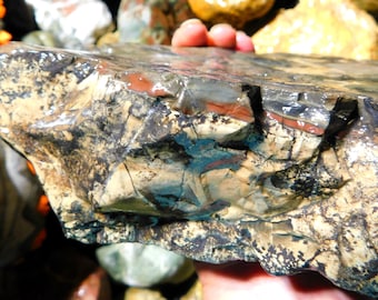 Petrified Wood - Greyish Blue-Green w/Dendritic Patterns - Beautiful Core Colors - Super Unique Find!