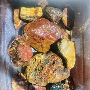 Jasper Assortment - All PIECES SHOWN are INCLUDED - 21lbs - Northern California River Jasper