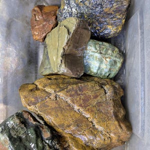 Jasper Assortment - All PIECES SHOWN are INCLUDED - 15+lbs - Northern California River Jasper