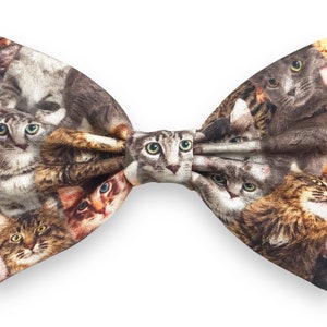 Puede incluir: Una pajarita con un patrón de muchas caras de gatos en varios colores y poses. La pajarita está hecha de tela y tiene una forma de lazo clásica.