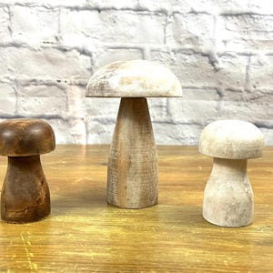 Vintage Trio of Natural Wood Mushrooms Nature Decor Go with Plant Decor