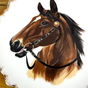 Vintage Horse Plate Decorative Wall Art Collage item Gift for Horse Lover Little Girls Boys  Room Western Themed