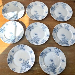 May include: Nine white ceramic plates with a blue floral design are arranged on a wooden surface. The plates have a scalloped edge and a delicate pattern of blue flowers and foliage. The plates are likely for dining.