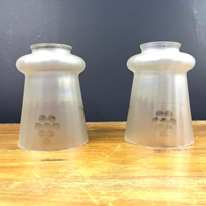 May include: Two frosted glass lampshades with a grape design. The lampshades are white and have a textured surface.