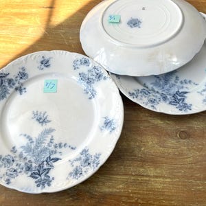 May include: Three white porcelain plates with blue floral patterns. One plate is face up, displaying the design, while the other two are stacked, showing the underside of one. The plates have a scalloped edge and are arranged on a wooden surface.