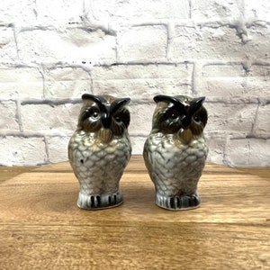 Vintage Ceramic Owl Salt and Pepper Shakers Stoneware Style Rustic Cottage Kitchen Decor