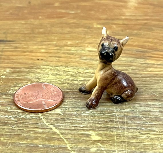 ヴィンテージ70年代ハーゲン・レネカー・ボクサーの子犬。愛らしい