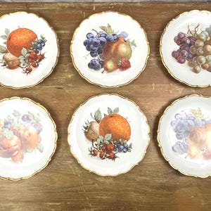 Vintage Fruit & Nuts Appetizer Plates Shumann Arzburg Bavaria Germany Dessert Gold Edge Scallop Design Decorative Cabinet Plates Set of 6