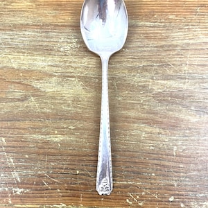 Può includere: Un cucchiaio d'argento con una coppa ovale e un lungo manico decorato. Il manico presenta un motivo dettagliato lungo i bordi e un design decorativo alla base. Il cucchiaio è posto su uno sfondo di legno.