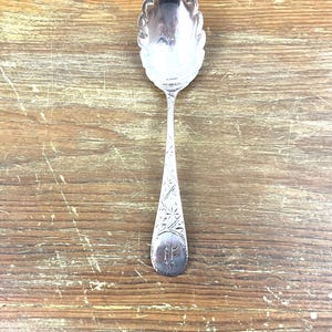 Pode incluir: Uma colher de prata com uma tigela decorativa com vieiras e um cabo longo gravado. O cabo apresenta um padrão de estrela e um emblema inicial na base. A colher está sobre um fundo de madeira.