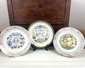 Vintage Souvenir State Teller New York Teller South Dakota & Michigan Wandteller Kitschy Kitchen Decor State Pride