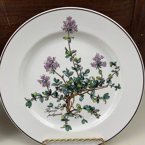 Vintage &quot;Thyme&quot;  Villeroy & Boch Botanica Luncheon Plates Garden Party Tea Party Plates Appetizer Salad plates Perfect for Herb Lovers!