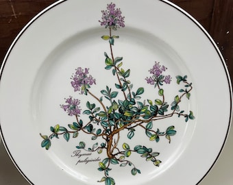 May include: A white ceramic plate with a brown rim features a botanical illustration of a thyme plant with purple flowers and green leaves. The text "Thymus pulegioides" is printed on the plate.