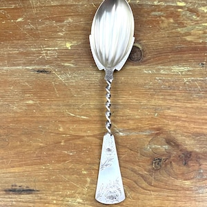 Antique Sterling Aesthetic Movement Serving Spoon Victorian Era Etched Floral Twist Swirl Handle Brite Cut Spoon