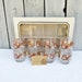 Vintage Libbey Owl Glassware, Hostess Set Lo-ball glasses, Set of 8 Brown Owl Drinking Glasses, Original Packaging, Fun Housewarming Gift