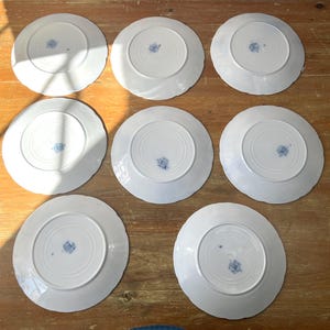 May include: Eight white ceramic plates with scalloped edges are arranged on a wooden surface. Each plate has a blue floral design in the centre. The plates are viewed from the underside.