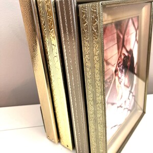 May include: Four picture frames with ornate gold and brown metal frames. The frames are stacked on top of each other. The top frame has a picture of a dog inside.