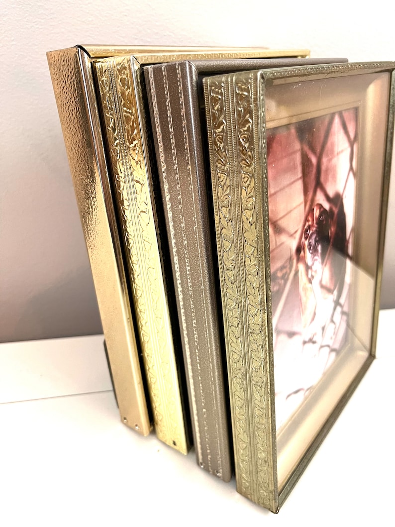May include: Four picture frames with ornate gold and brown metal frames. The frames are stacked on top of each other. The top frame has a picture of a dog inside.