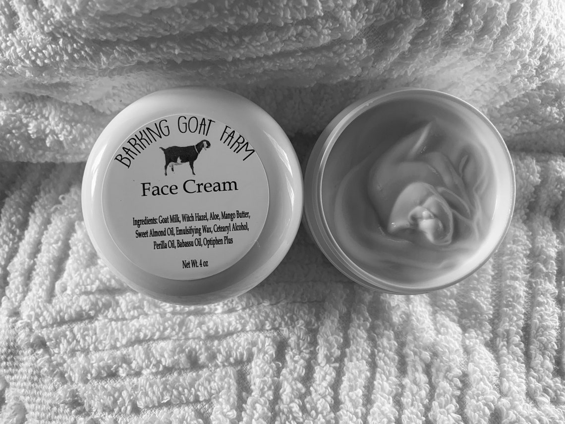 Goat Milk Facial Set Activated Charcoal Soap and Face Cream Etsy
