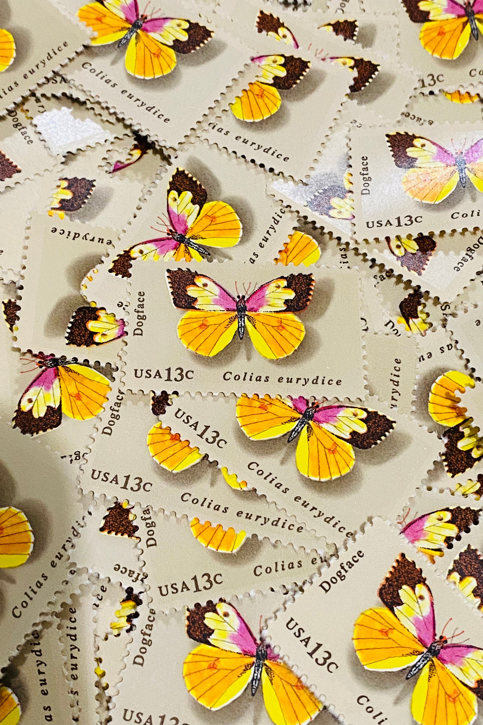 13c Dogface Butterfly Stamps - Pack of 10