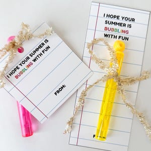 Classmate Gift Tag for Bubbles, End of Year Tag, End of School Tag, Last Day of School, Summer Gift School, Happy Last Day of School