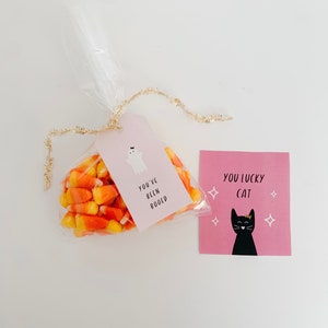 May include: A clear cellophane bag filled with candy corn, tied with gold tinsel, and a pink tag that says "You've Been Booed" with a ghost illustration. A pink card with a black cat and the text "You Lucky Cat" is next to the bag.