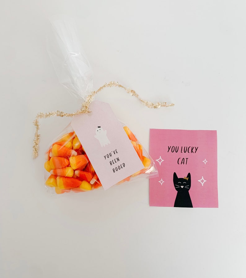 May include: A clear cellophane bag filled with candy corn, tied with gold tinsel, and a pink tag that says "You've Been Booed" with a ghost illustration. A pink card with a black cat and the text "You Lucky Cat" is next to the bag.