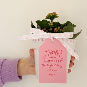 Étiquettes cadeaux imprimables pour la Saint-Valentin pour les enseignants - Étiquettes de la Saint-Valentin pour enseignant - Étiquettes de fleurs ou de plantes - Étiquettes de remerciement M'aider à grandir