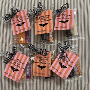 May include: Halloween treat bags with pink and orange striped tags that read "Boo! Here's a treat for you Happy Halloween" and "A spooky treat for someone sweet! Happy Halloween." Each bag is tied with a black and white checkered ribbon.