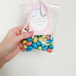 K&ouml;nnte beinhalten: Eine durchsichtige Plastikt&uuml;te gef&uuml;llt mit pastellfarbenen Bonbons in Eiform, die mit einem wei&szlig;en Band und einem rosa Geschenkanh&auml;nger mit der Aufschrift "I'm so egg-cited we are friends from" gebunden ist.