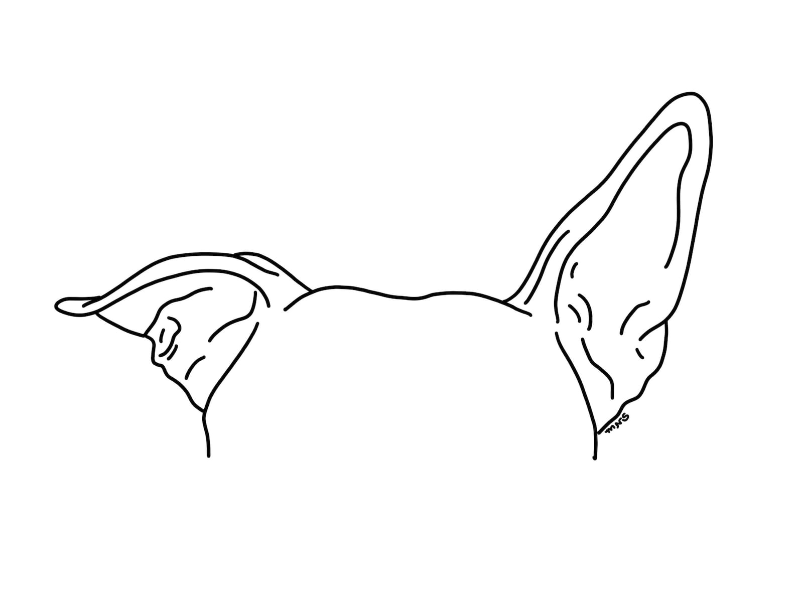 German Shepherd Ears Outline Pin On Coffee - My Dog Pitbull