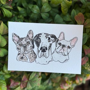 May include: A watercolor illustration of three dogs on white paper. The dogs are a French Bulldog, a Great Dane, and another French Bulldog. The dogs are in black and white with some color accents. The background is a mix of green leaves.