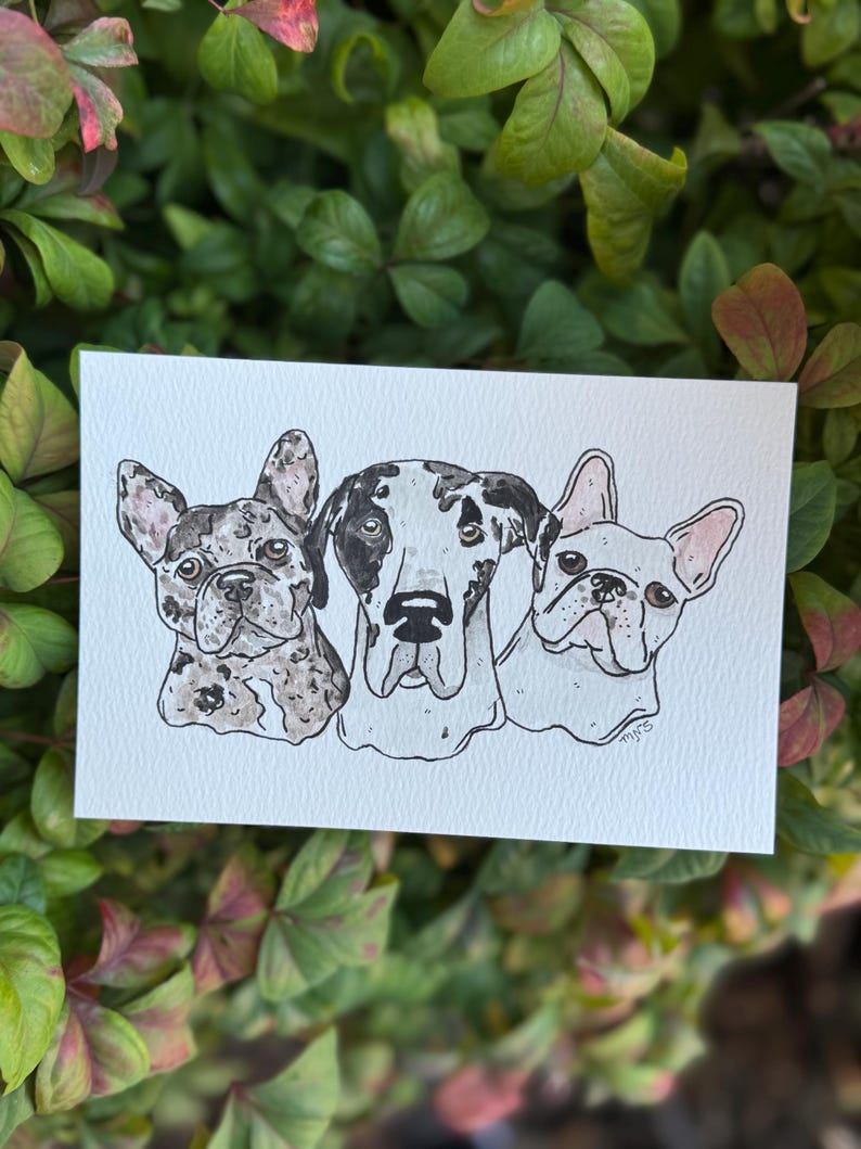 May include: A watercolor illustration of three dogs on white paper. The dogs are a French Bulldog, a Great Dane, and another French Bulldog. The dogs are in black and white with some color accents. The background is a mix of green leaves.
