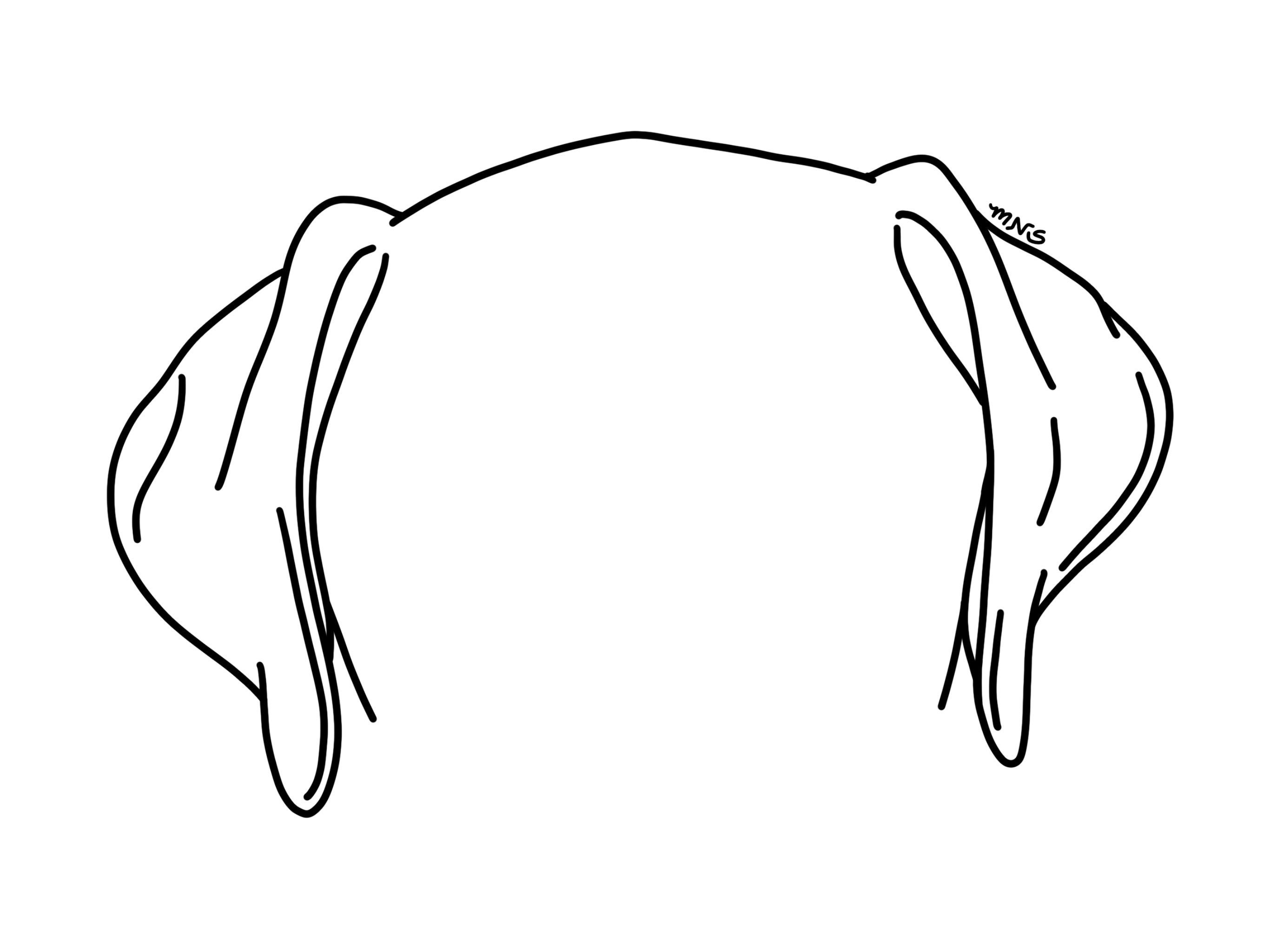 Ear Dog Svg File Dog Ear Outline Svg Pet Ear Svg Dog vrogue.co