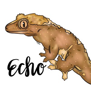 Retrato de mascota único digital, Retrato de serpiente digital, Retrato de lagarto digital, Dibujo de mascota inusual, Dibujo de mascota reptil, Retrato de pájaro