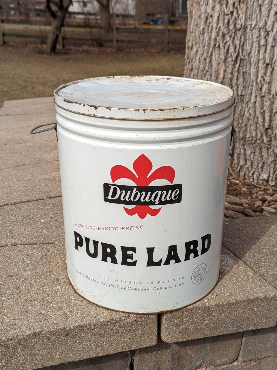 Large, 50lb size 1920's30s Dubuque Packing Brand Pure Lard Tin Can Bucket - Old  Original - Dubuque Iowa