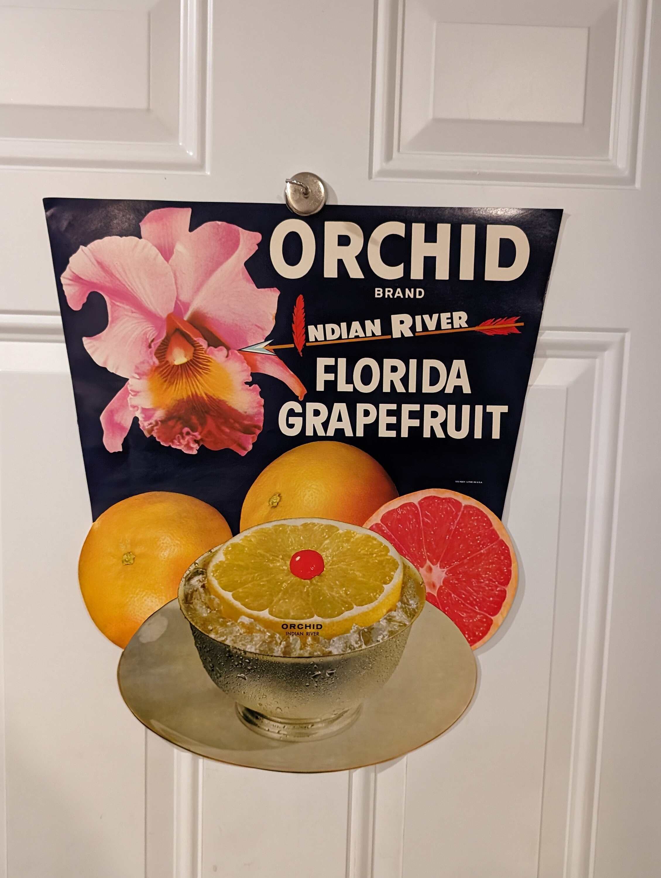 1960s 70s Indian River Fresh Florida Grapefruit Fruit Banner Sign