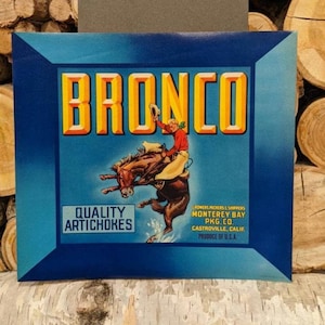 1940er Jahre Bronco Artischoken Bucking Bronco Fruit Crate Label - Alt & Original - Castroville, Kalifornien Western Monterey Bay