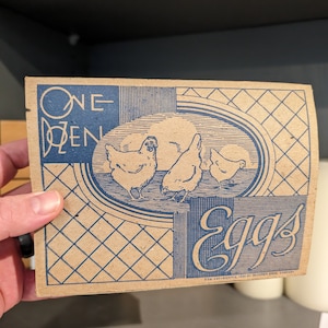 1934  Dozen Blue Chicken Eggs Carton Kitchen Display Box