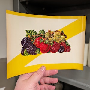 1930&#39;s Fruit Crate Label - Old & Original Bunch of Fruit