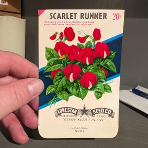 May include: Vintage seed packet for Scarlet Runner beans. The packet features a colorful illustration of the beans growing on a vine with red flowers. The text on the packet reads "Scarlet Runner 20¢" and "Lone Star Seed Co. San Antonio, Texas. "Every Seed a Plant." No. 954"