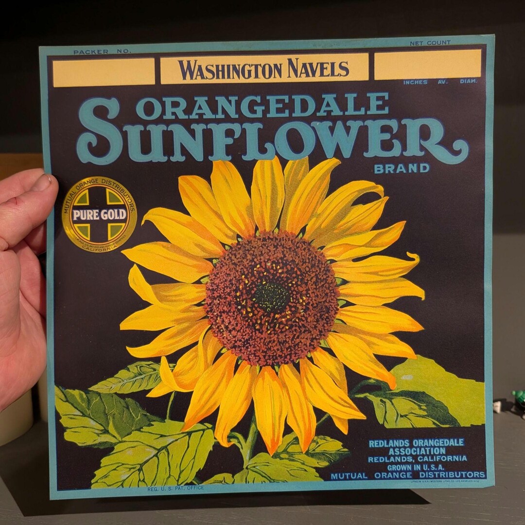 1930's Orangesale Sunflower Brand Washington Navel Oranges Crate